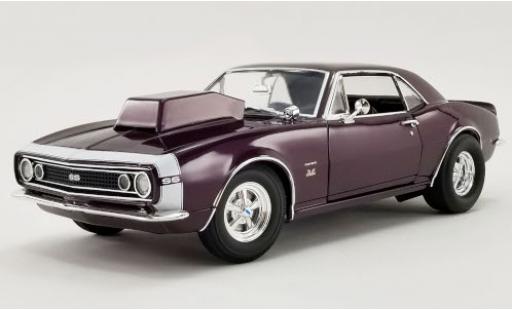 Modellautos Chevrolet Camaro 1/18 ACME SS Purple Haze lila/weiss 1967 Chevrolet Camaro 1/18 ACME SS Purple Haze lila/weiss 1967 modellautos
