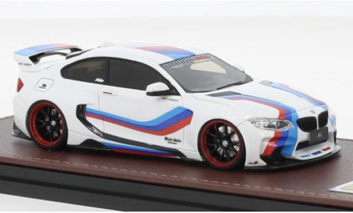 Bmw M235 1/43 GLM i DarwinPro MTC Design Black Sails weiss/Dekor modellautos