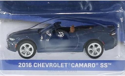 Modellautos Chevrolet Camaro 1/64 Greenlight SS mettalic blau 2016 General Motors Series 1 ohne Vitrine Chevrolet Camaro 1/64 Greenlight SS mettalic blau 2016 General Motors Series 1 ohne Vitrine modellautos