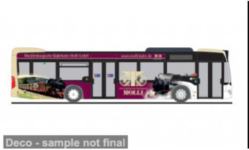 Mercedes Citaro 1/87 Rietze 2012 Mecklenburgische3 B&auml;derbahn Molli 1:87 modellautos