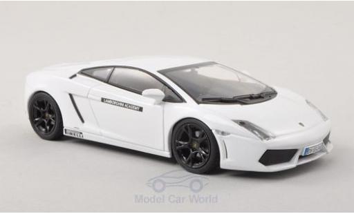Modellautos Lamborghini Gallardo LP560-4 1/43 Minichamps weiss Academy 2009 Lamborghini Gallardo LP560-4 1/43 Minichamps weiss Academy 2009 modellautos