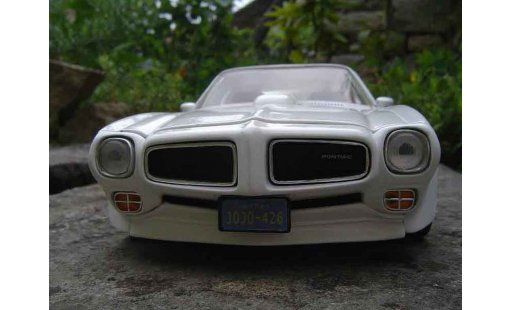 Pontiac Firebird 1973 1/18 Ertl trans am modellautos
