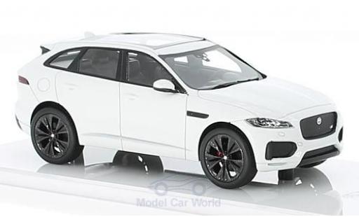 Modellautos Jaguar F-Pace 1/43 TrueScale Miniatures weiss Jaguar F-Pace 1/43 TrueScale Miniatures weiss modellautos